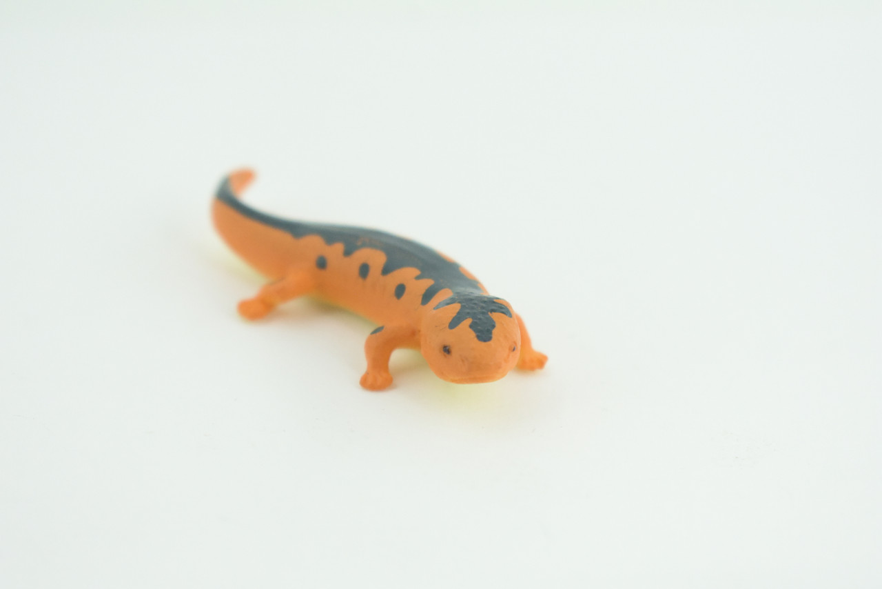 Eastern Orange Newt, Lizard, Rubber Reptile, Hand Painted, Educational, Realistic, Model, Replica, Toys, Kids, Gift,   2 1/2 Inches.    WR38 B197