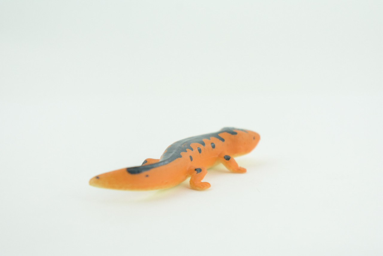 Eastern Orange Newt, Lizard, Rubber Reptile, Hand Painted, Educational, Realistic, Model, Replica, Toys, Kids, Gift,   2 1/2 Inches.    WR38 B197