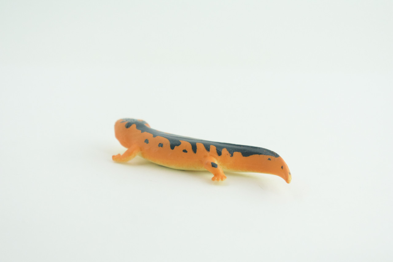 Eastern Orange Newt, Lizard, Rubber Reptile, Hand Painted, Educational, Realistic, Model, Replica, Toys, Kids, Gift,   2 1/2 Inches.    WR38 B197
