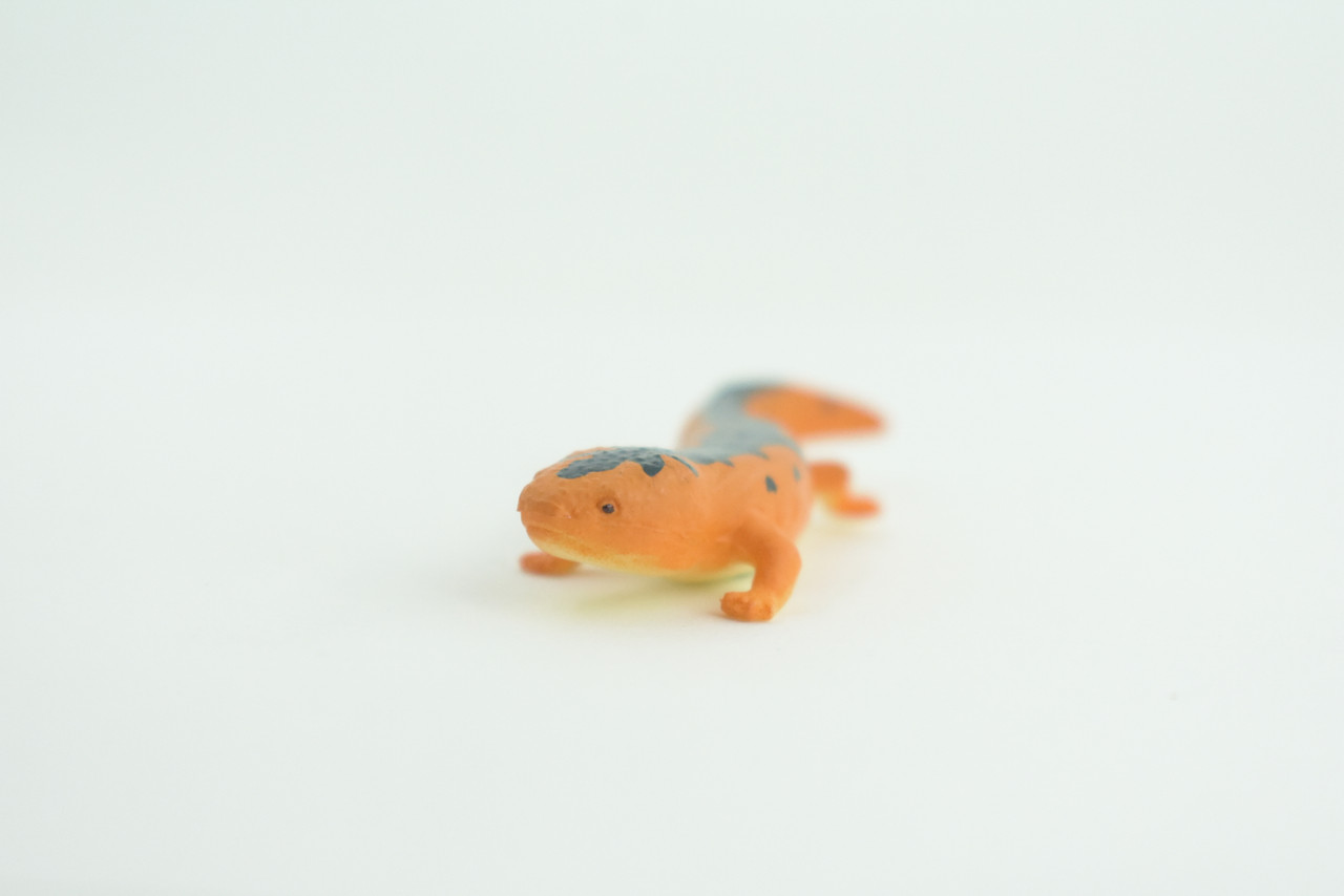 Eastern Orange Newt, Lizard, Rubber Reptile, Hand Painted, Educational, Realistic, Model, Replica, Toys, Kids, Gift,   2 1/2 Inches.    WR38 B197