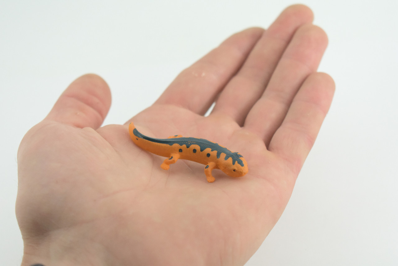 Eastern Orange Newt, Lizard, Rubber Reptile, Hand Painted, Educational, Realistic, Model, Replica, Toys, Kids, Gift, 2 1/2 Inches. WR38 B197