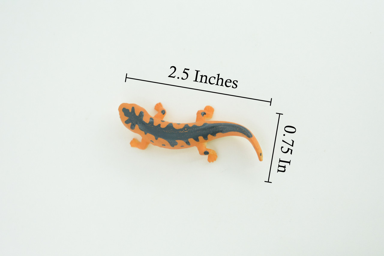 Eastern Orange Newt, Lizard, Rubber Reptile, Hand Painted, Educational, Realistic, Model, Replica, Toys, Kids, Gift, 2 1/2 Inches. WR38 B197