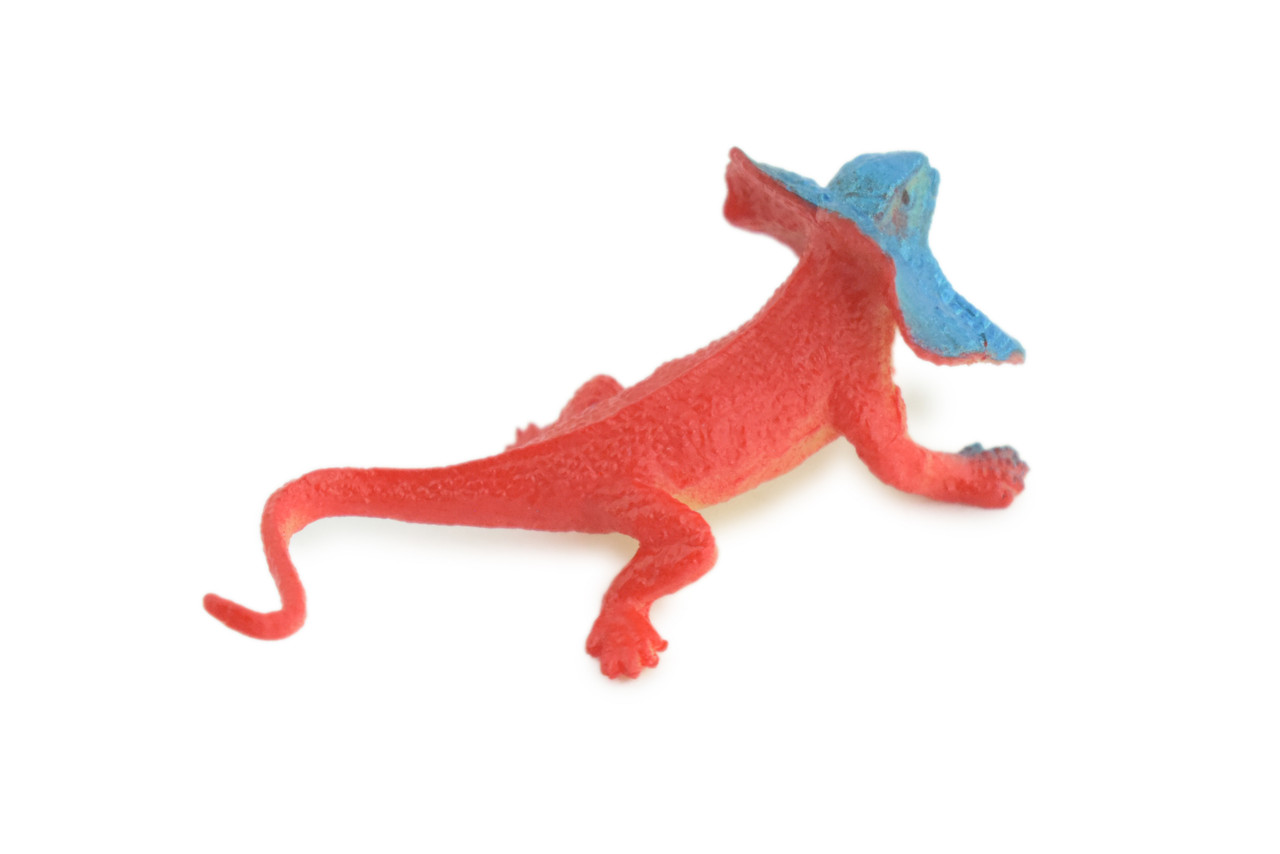 Frilled Lizard, red and blue color, Rubber Reptile, Hand Painted, Educational, Realistic, Model, Replica, Toys, Kids, Gift, 2 1/2 Inches. WR40 B197