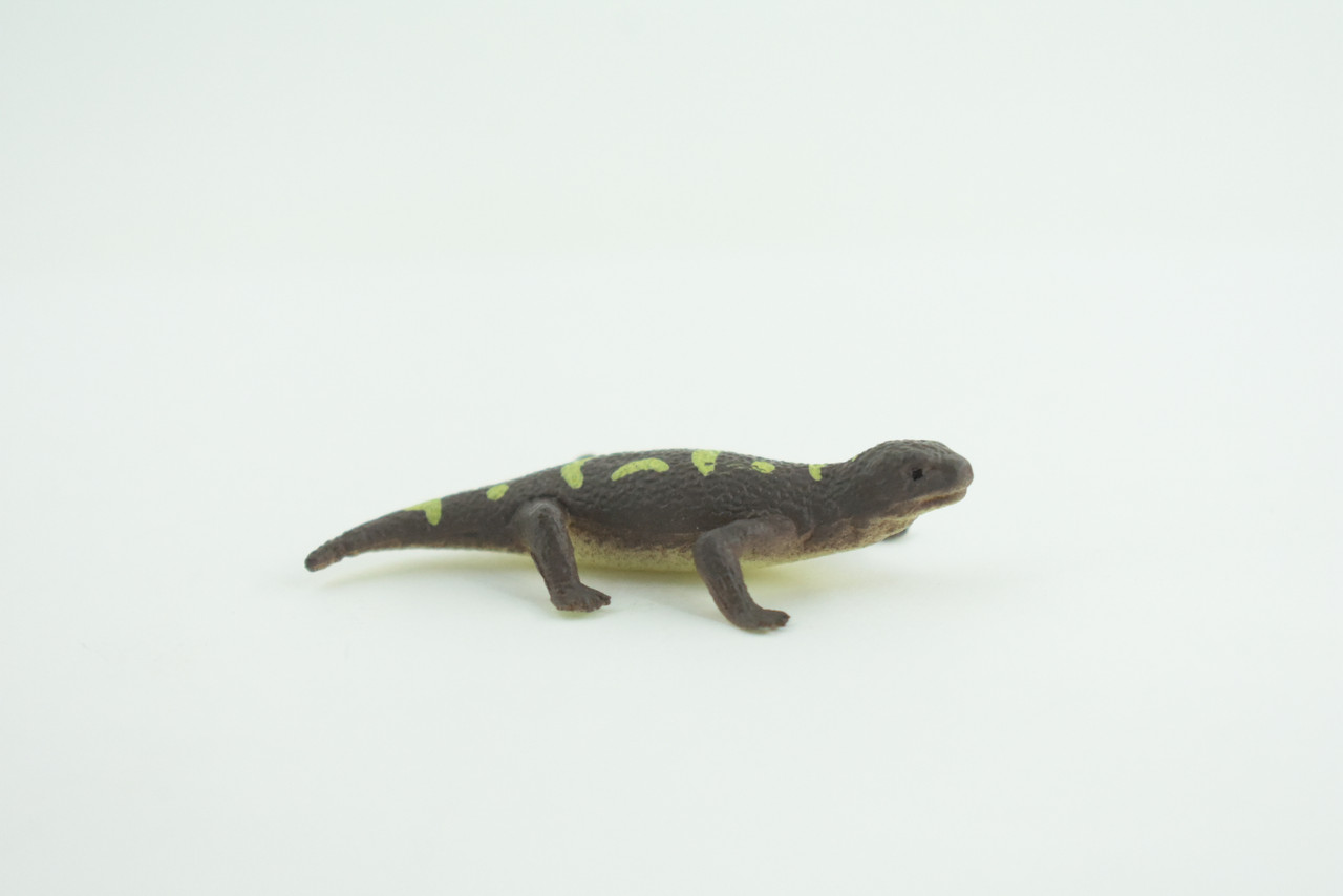 Gila Monster, Desert Lizard, Rubber Reptile, Hand Painted, Educational, Realistic, Model, Toys, Kids, Gift,      2 1/2 Inches.    WR42 B197