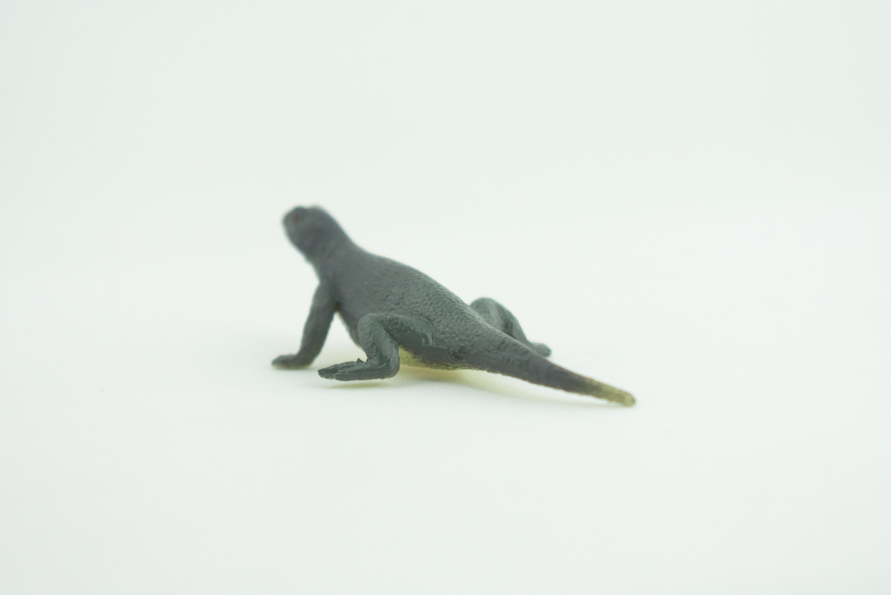 Gray's Monitor Lizard, Rubber Reptile, Hand Painted, Educational, Realistic, Model, Replica, Toys, Kids, Gift,   2 Inches.    WR43 B197