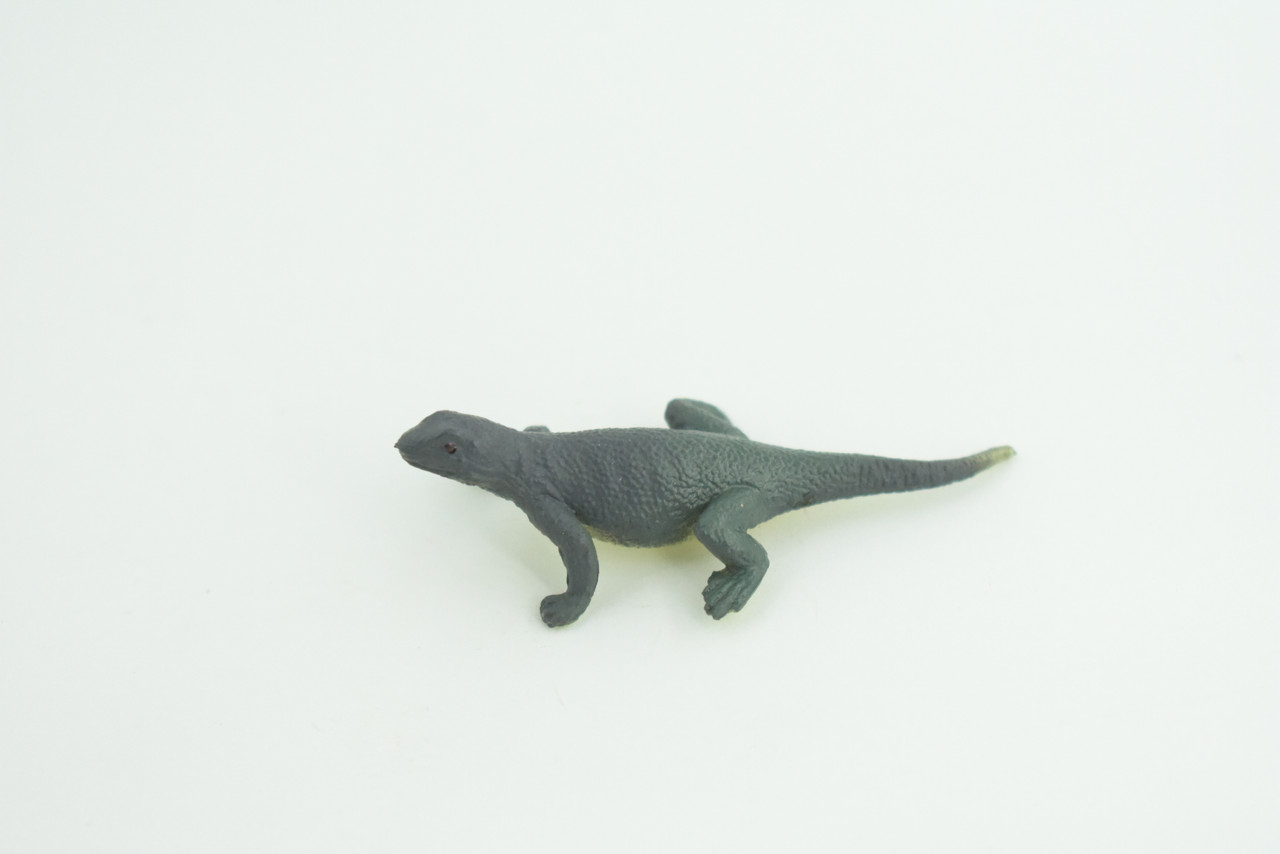 Gray's Monitor Lizard, Rubber Reptile, Hand Painted, Educational, Realistic, Model, Replica, Toys, Kids, Gift,   2 Inches.    WR43 B197