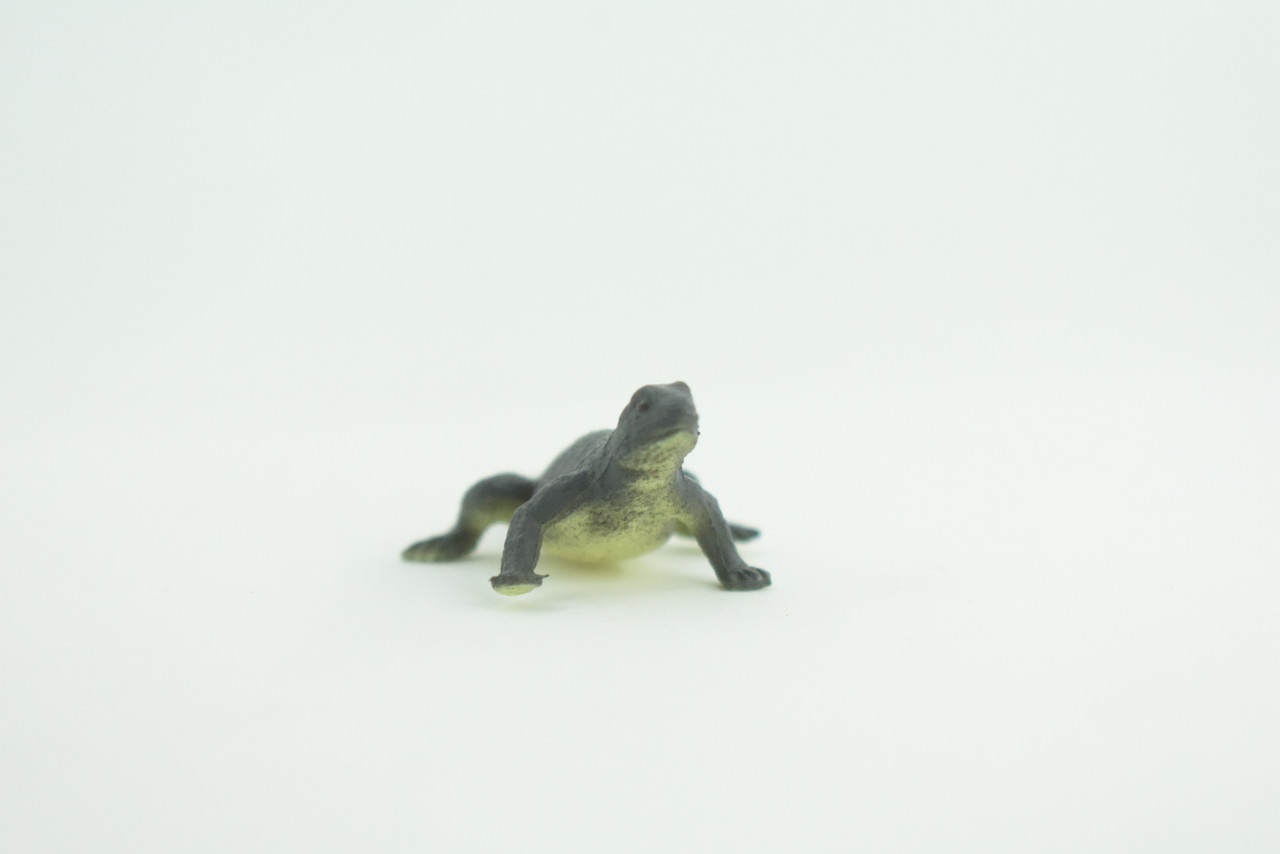 Gray's Monitor Lizard, Rubber Reptile, Hand Painted, Educational, Realistic, Model, Replica, Toys, Kids, Gift,   2 Inches.    WR43 B197
