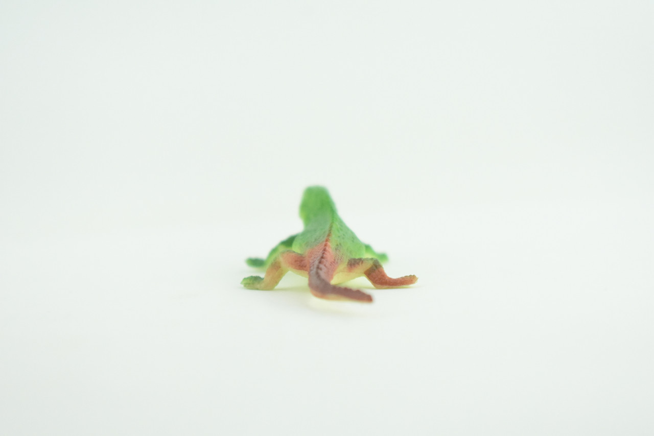 Green Iguana with Brown Tail, Lizard, Rubber Reptile, Hand Painted, Educational, Realistic, Model, Replica, Toys, Kids, Gift,   2 1/2 Inches.    WR45 B197
