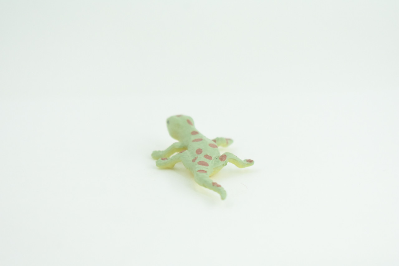 Spotted Gecko, Lizard, Rubber Reptile, Hand Painted, Educational, Realistic, Model, Toys, Kids, Gift,     2 1/2 Inches.    WR46 B197