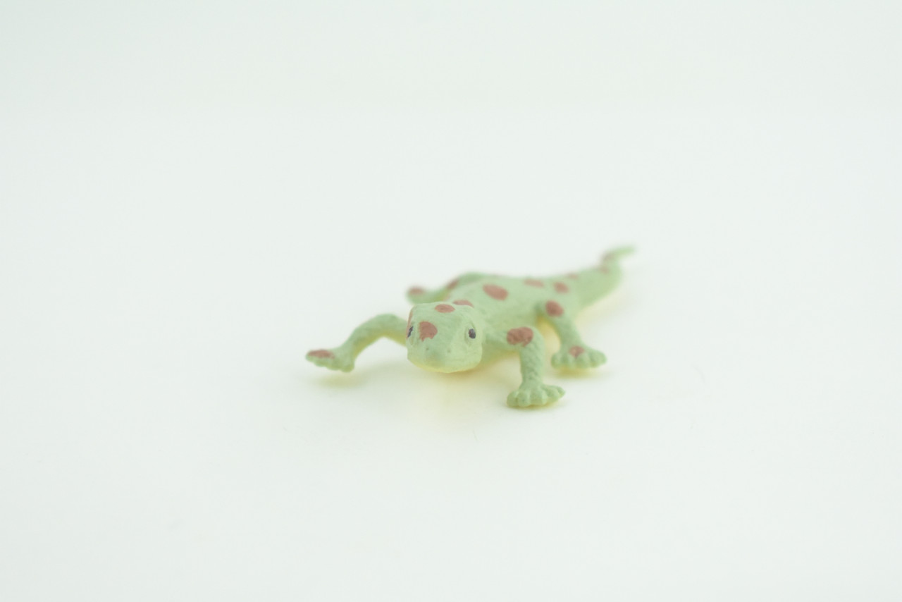 Spotted Gecko, Lizard, Rubber Reptile, Hand Painted, Educational, Realistic, Model, Toys, Kids, Gift,     2 1/2 Inches.    WR46 B197