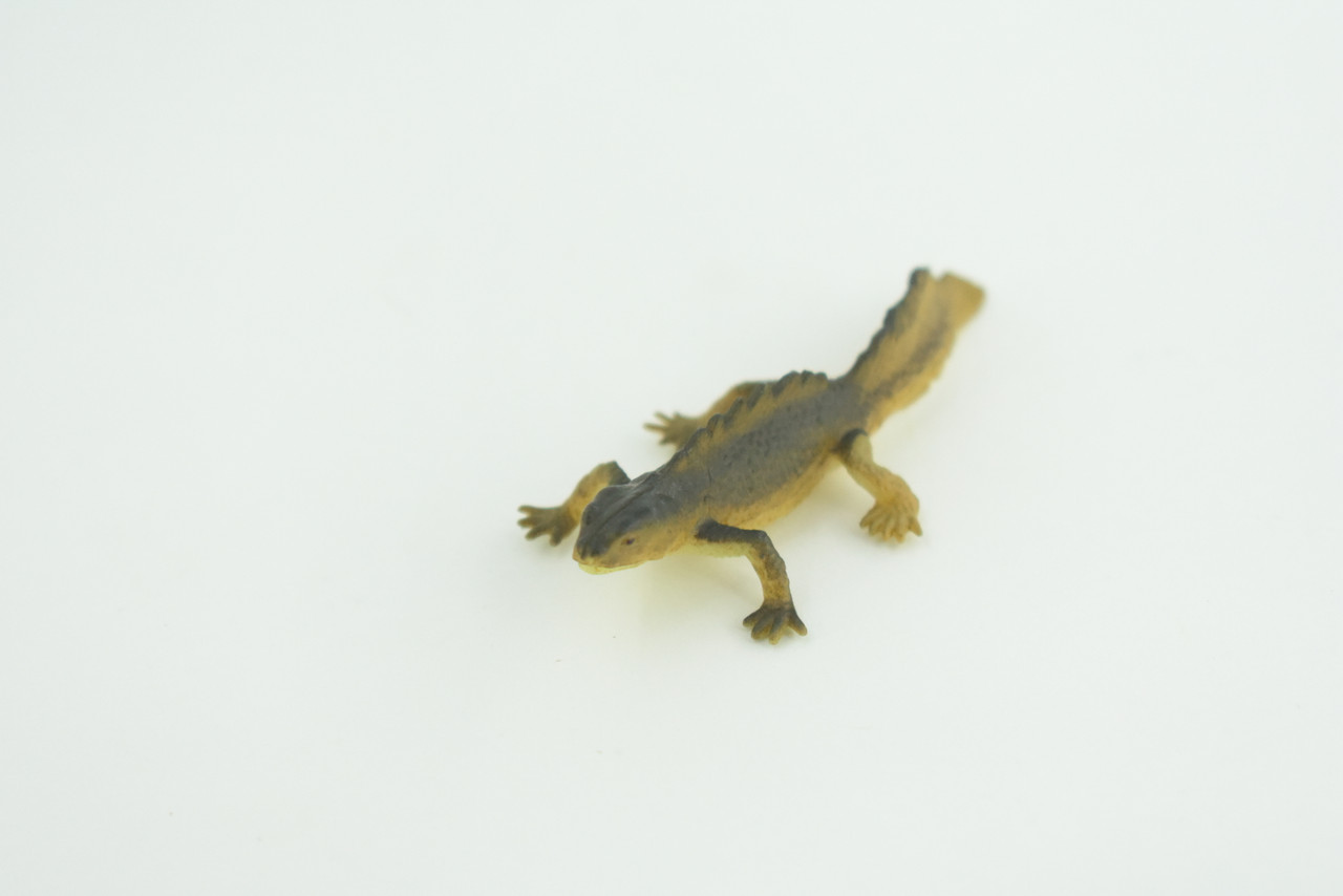 Water Dragon, Sailfin Lizard, Rubber Reptile, Hand Painted, Educational, Realistic, Model, Toys, Kids, Gift,   2 Inches.    WR48 B197