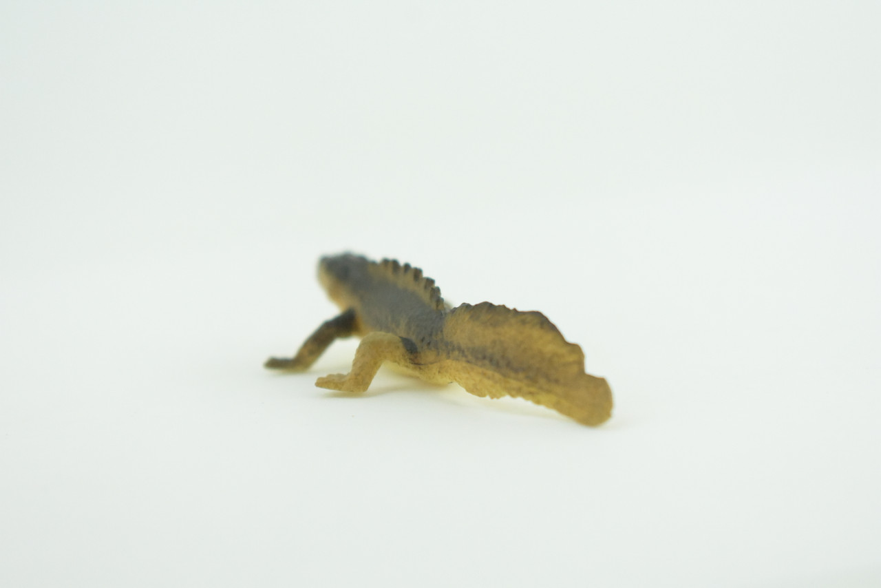 Water Dragon, Sailfin Lizard, Rubber Reptile, Hand Painted, Educational, Realistic, Model, Toys, Kids, Gift,   2 Inches.    WR48 B197
