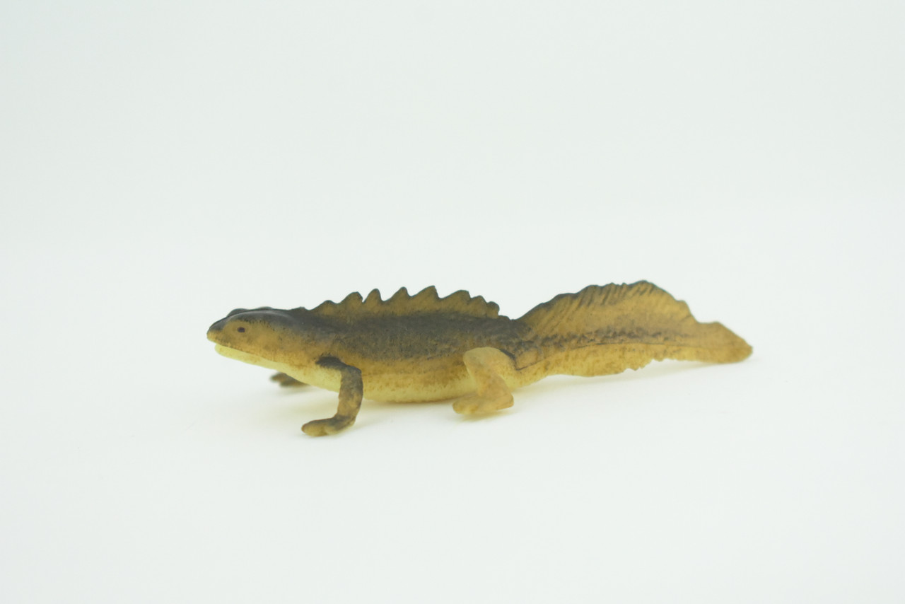 Water Dragon, Sailfin Lizard, Rubber Reptile, Hand Painted, Educational, Realistic, Model, Toys, Kids, Gift,   2 Inches.    WR48 B197