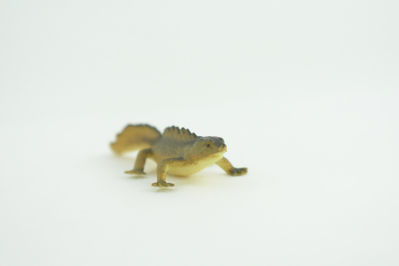 Water Dragon, Sailfin Lizard, Rubber Reptile, Hand Painted, Educational, Realistic, Model, Toys, Kids, Gift,   2 Inches.    WR48 B197