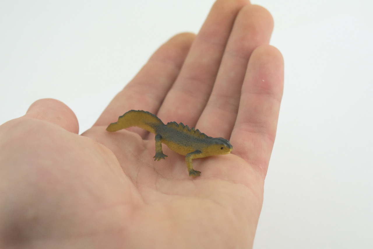 Water Dragon, Sailfin Lizard, Rubber Reptile, Hand Painted, Educational, Realistic, Model, Toys, Kids, Gift, 2 Inches. WR48 B197