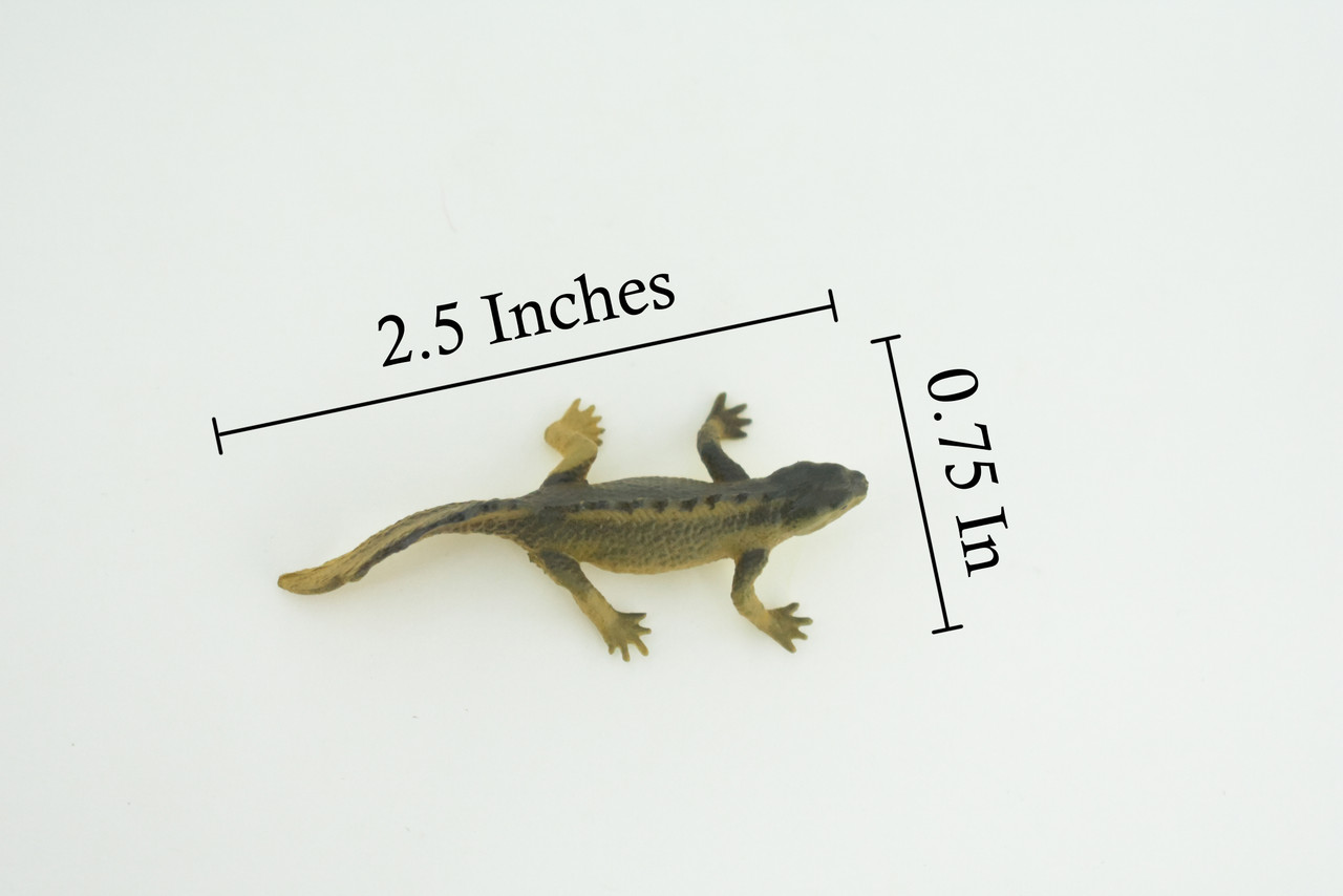 Water Dragon, Sailfin Lizard, Rubber Reptile, Hand Painted, Educational, Realistic, Model, Toys, Kids, Gift, 2 Inches. WR48 B197