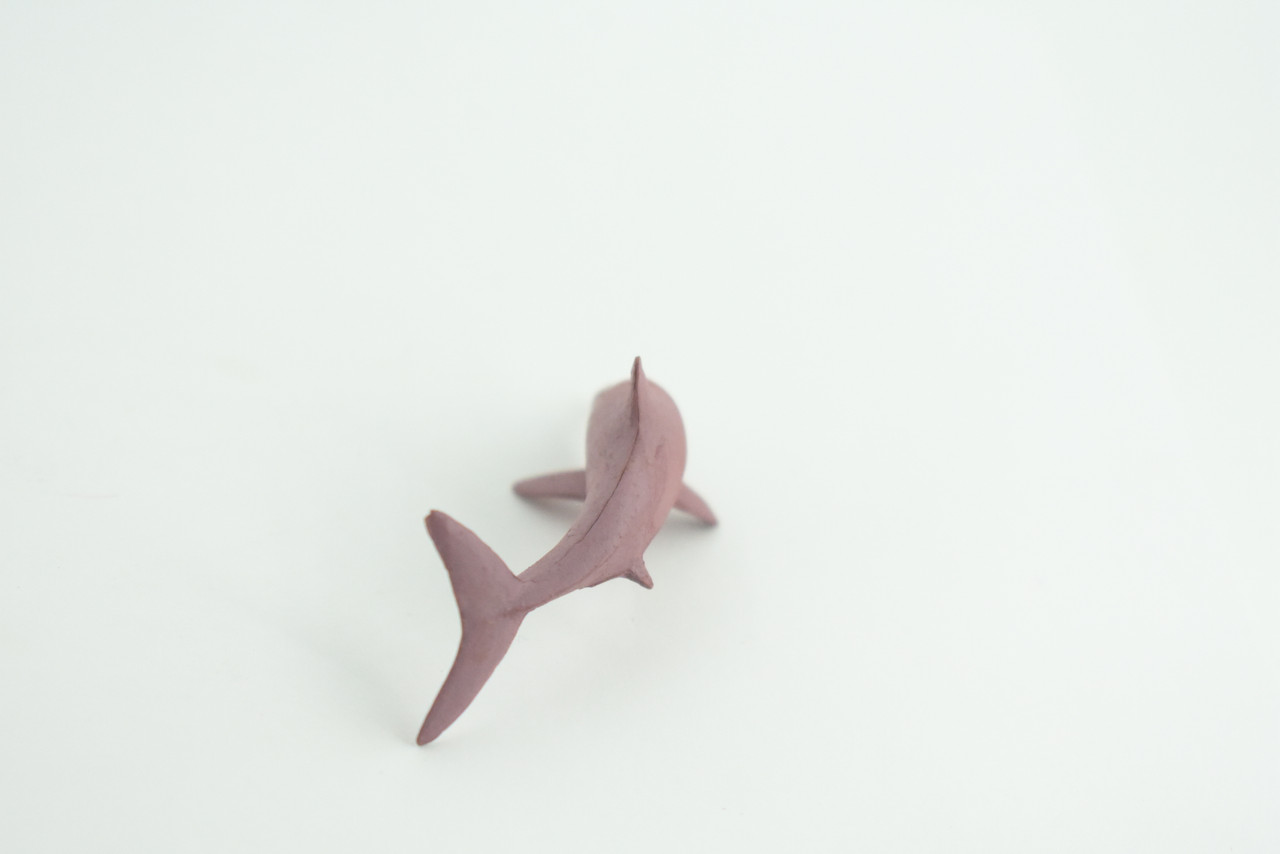 Pink Dolphin, Indo-Pacific humpback dolphin, Marine Mammal, Educational, Realistic, Diorama, Models, Replica, Toys, Kids, Gift,   2 1/2 Inches.    CWG50 B197