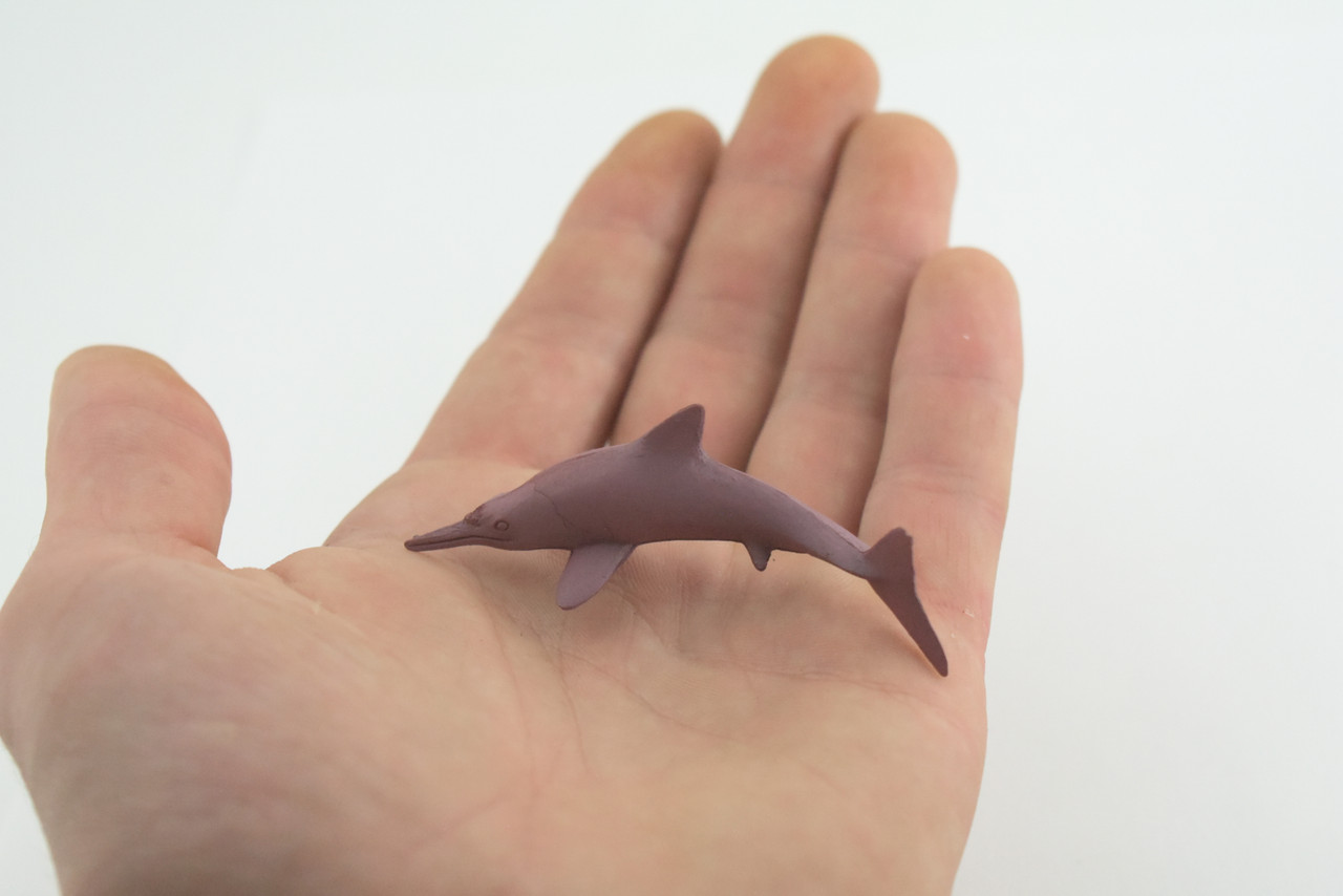 Pink Dolphin, Indo-Pacific humpback dolphin, Marine Mammal, Educational, Realistic, Diorama, Models, Replica, Toys, Kids, Gift, 2 1/2 Inches. CWG50 B197