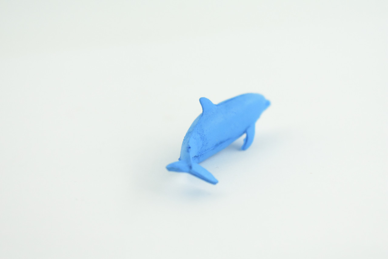 Dolphin, Blue Dolphin Cichlid, Marine Mammal, Educational, Realistic, Diorama, Models, Replica, Toys, Kids, Gift,   2 Inches.    CWG52 B197