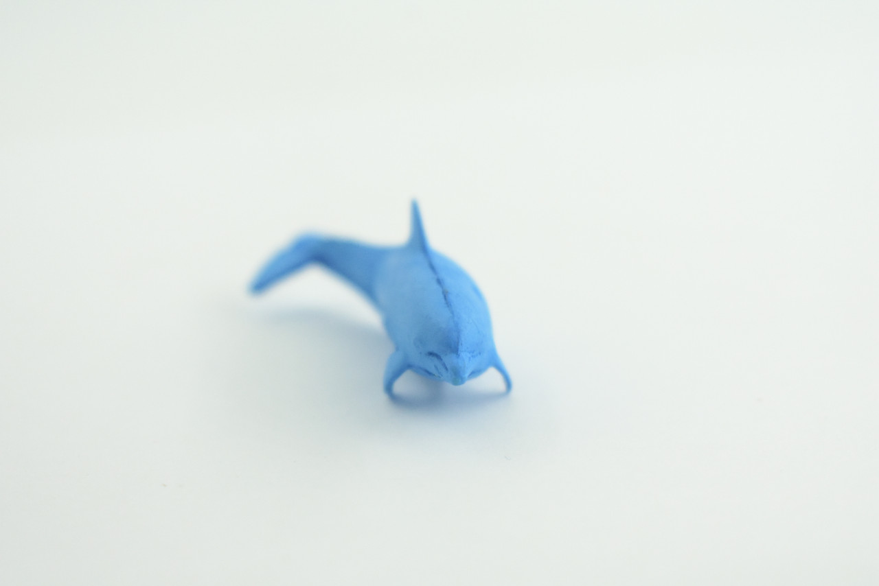 Dolphin, Blue Dolphin Cichlid, Marine Mammal, Educational, Realistic, Diorama, Models, Replica, Toys, Kids, Gift,   2 Inches.    CWG52 B197
