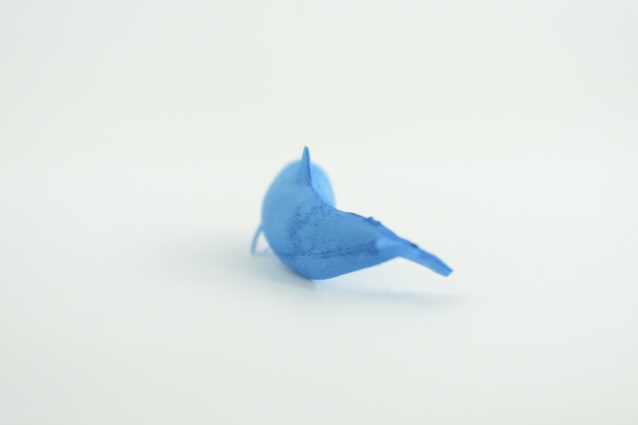 Dolphin, Blue Dolphin Cichlid, Marine Mammal, Educational, Realistic, Diorama, Models, Replica, Toys, Kids, Gift,   2 Inches.    CWG52 B197