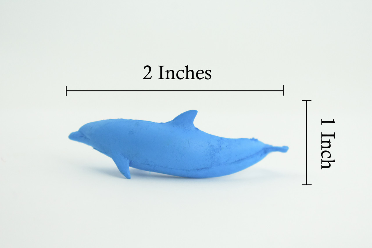 Dolphin, Blue Dolphin Cichlid, Marine Mammal, Educational, Realistic, Diorama, Models, Replica, Toys, Kids, Gift, 2 Inches. CWG52 B197
