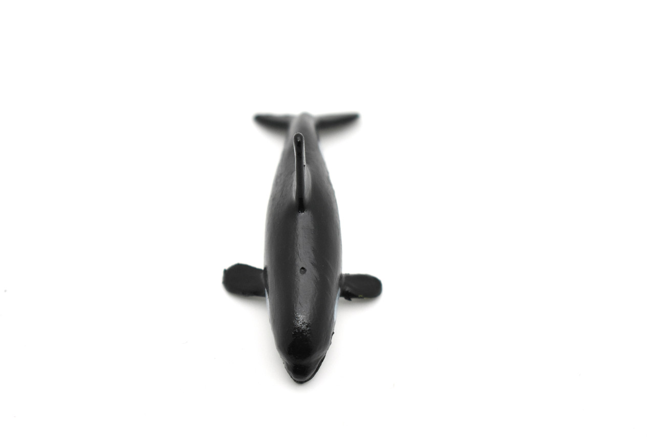 Orca, Killer Whale, Marine Mammal, Whales, Ocean, Educational, Realistic, Diorama, Models, Replica, Toys, Kids, Gift,   2 Inches.    CWG54 B197