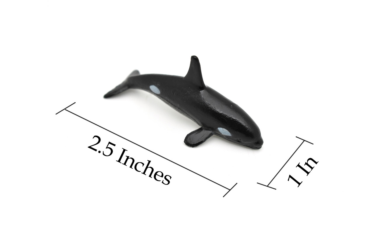 Orca, Killer Whale, Marine Mammal, Whales, Ocean, Educational, Realistic, Diorama, Models, Replica, Toys, Kids, Gift,   2 Inches.    CWG54 B197
