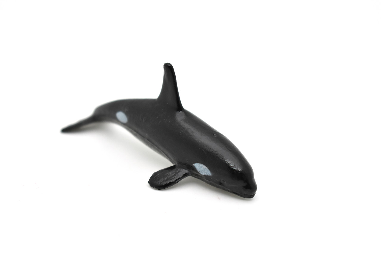 Orca, Killer Whale, Marine Mammal, Whales, Ocean, Educational, Realistic, Diorama, Models, Replica, Toys, Kids, Gift,   2 Inches.    CWG54 B197