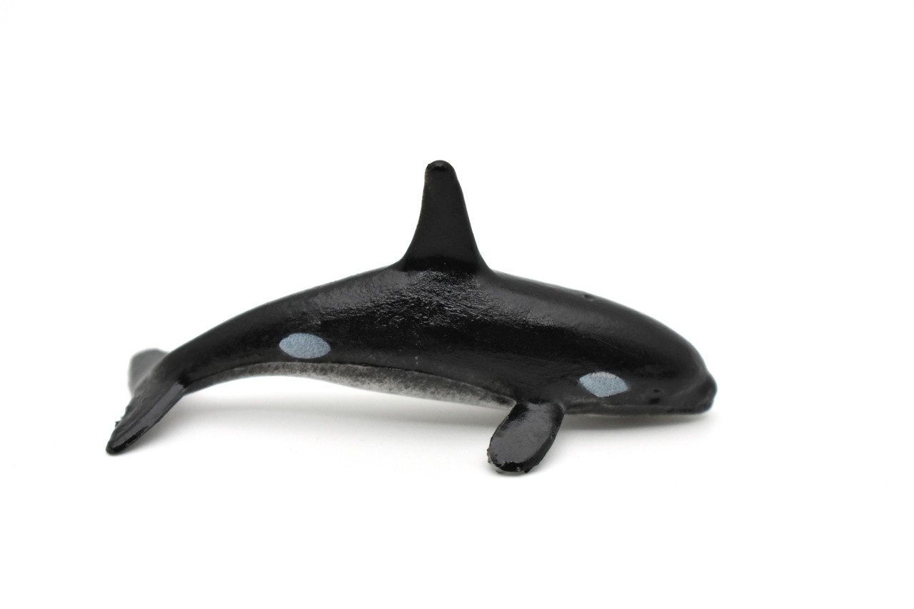 Orca, Killer Whale, Marine Mammal, Whales, Ocean, Educational, Realistic, Diorama, Models, Replica, Toys, Kids, Gift,   2 Inches.    CWG54 B197