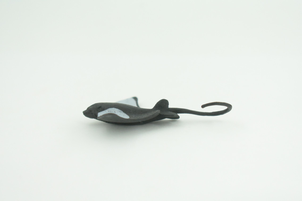 Bat Ray, California Bat Ray, Marine Fish, Educational, Realistic, Diorama, Models, Toys, Kids, Gift,   2 1/2  Inches.    CWG55 B197