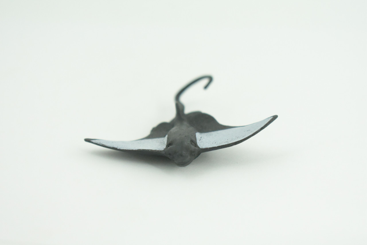 Bat Ray, California Bat Ray, Marine Fish, Educational, Realistic, Diorama, Models, Toys, Kids, Gift,   2 1/2  Inches.    CWG55 B197