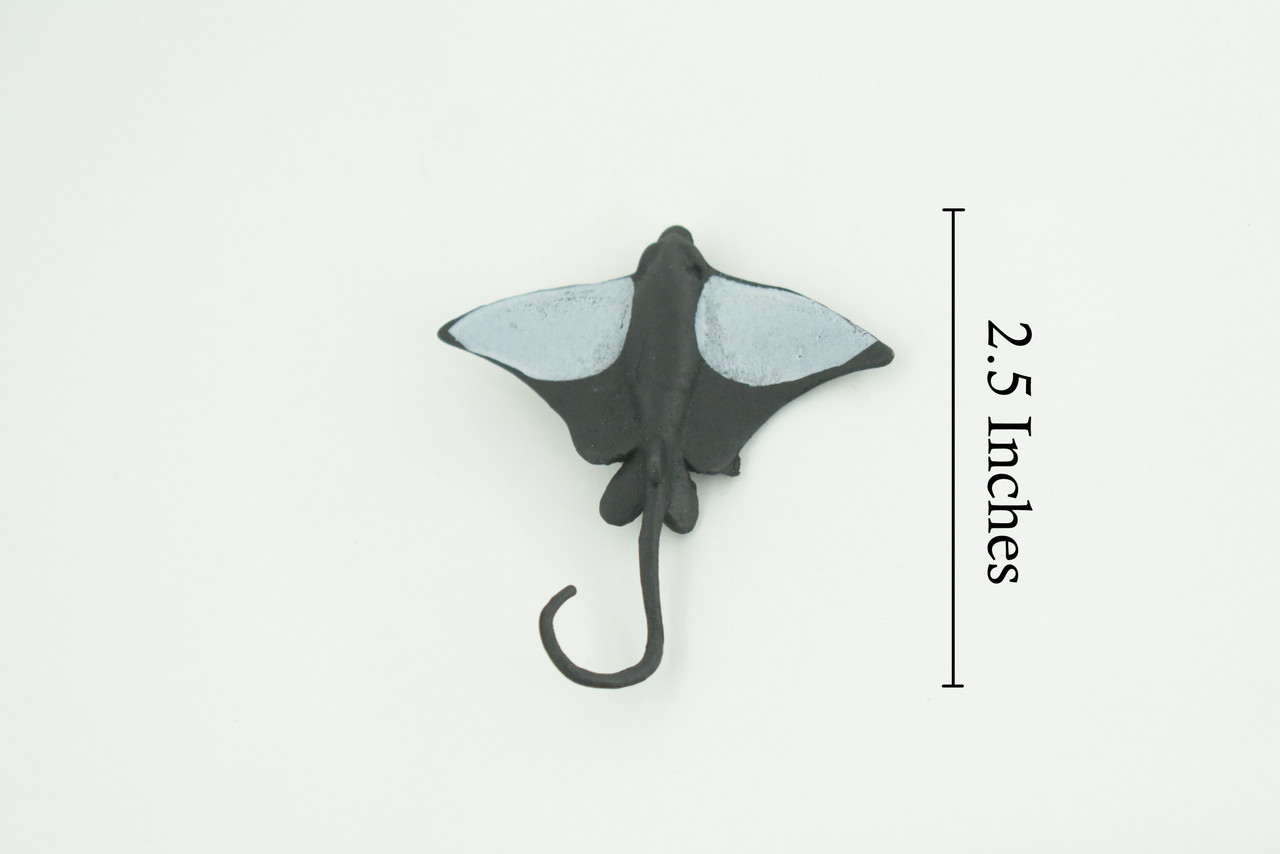 Bat Ray, California Bat Ray, Marine Fish, Educational, Realistic, Diorama, Models, Toys, Kids, Gift, 2 1/2 Inches. CWG55 B197
