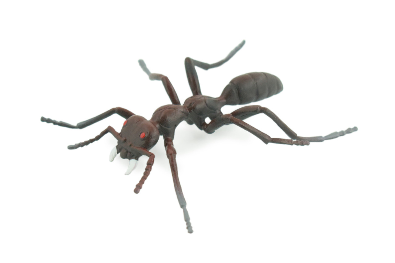 Ant, Carpenter Ant, Rubber Insect, High Quality, Hand Painted, Realistic, Figure, Diorama Model, Replica, Toy, Kids, Educational, Gift, 3 1/2 Inches CWG215 B37
