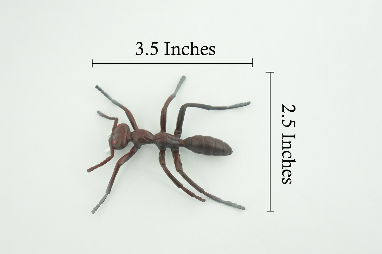 Ant, Carpenter Ant, Rubber Insect, High Quality, Hand Painted, Realistic, Figure, Diorama Model, Replica, Toy, Kids, Educational, Gift, 3 1/2 Inches CWG215 B37