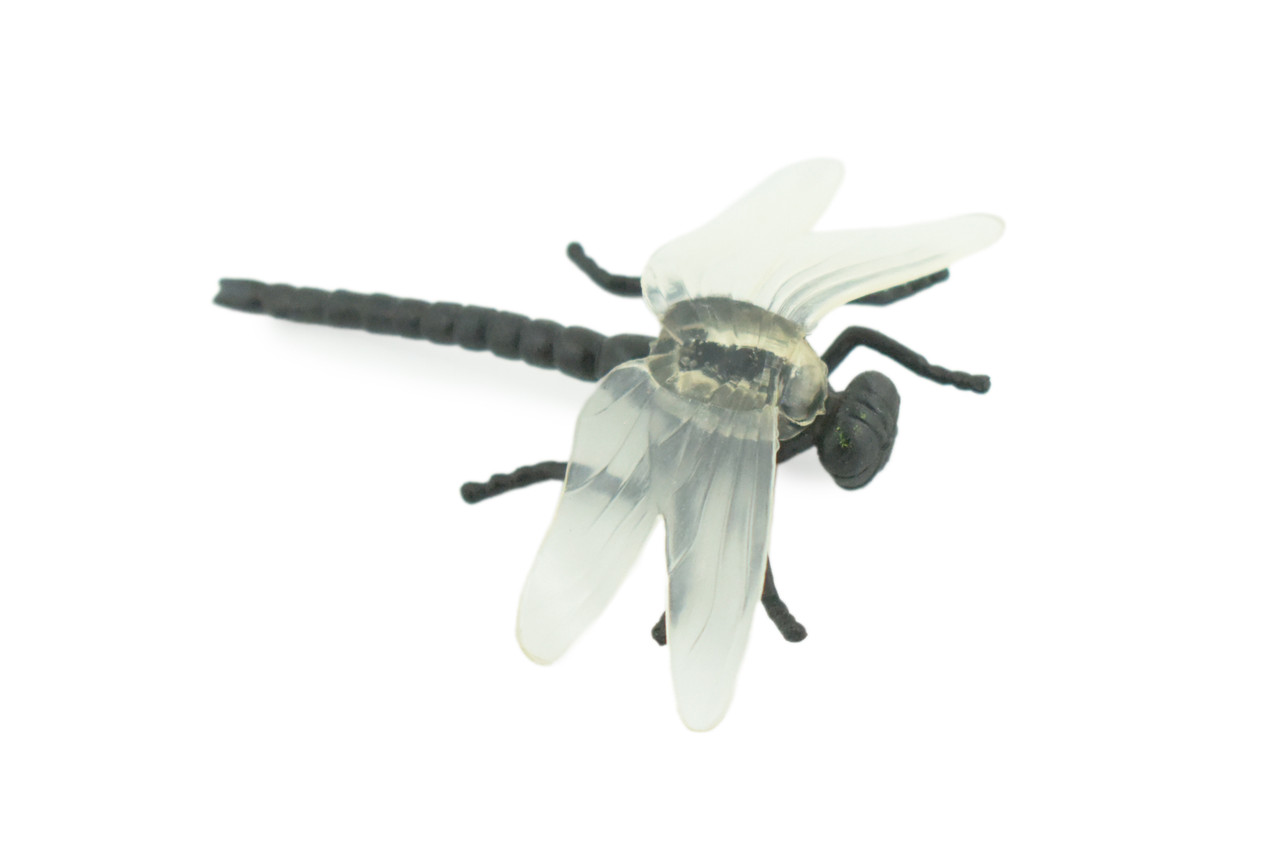 Dragonfly, Black with White Wings, Rubber Insect, High Quality, Hand Painted, Realistic, Diorama Model, Toy, Kids, Educational, Gift, 2 1/2 Inches CWG219 B74