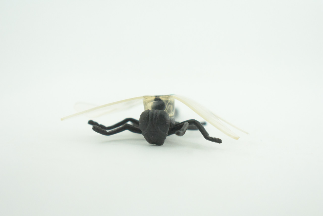 Dragonfly, Black with White Wings, Rubber Insect, High Quality, Hand Painted, Realistic, Diorama Model, Toy, Kids, Educational, Gift,    2 1/2 Inches   CWG219 B74
