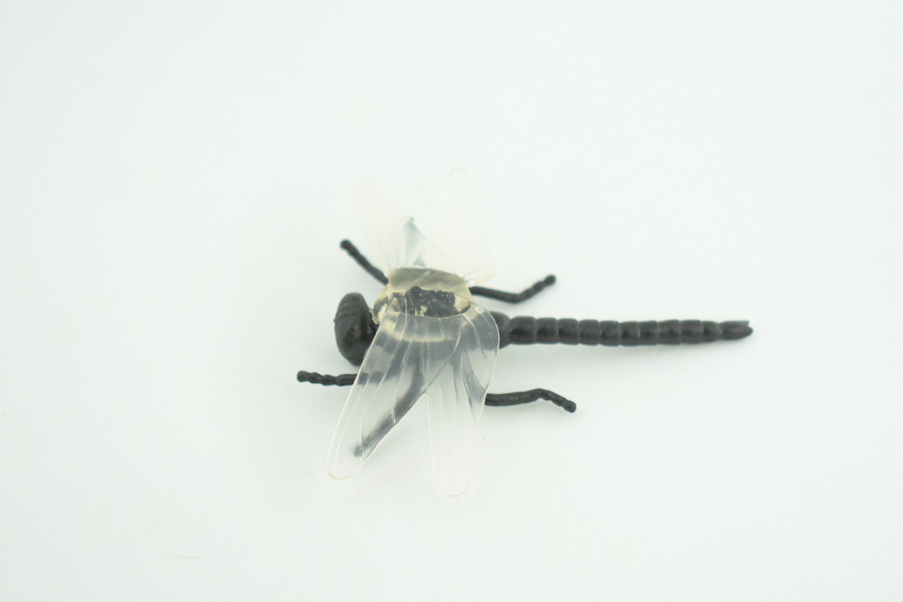 Dragonfly, Black with White Wings, Rubber Insect, High Quality, Hand Painted, Realistic, Diorama Model, Toy, Kids, Educational, Gift,    2 1/2 Inches   CWG219 B74