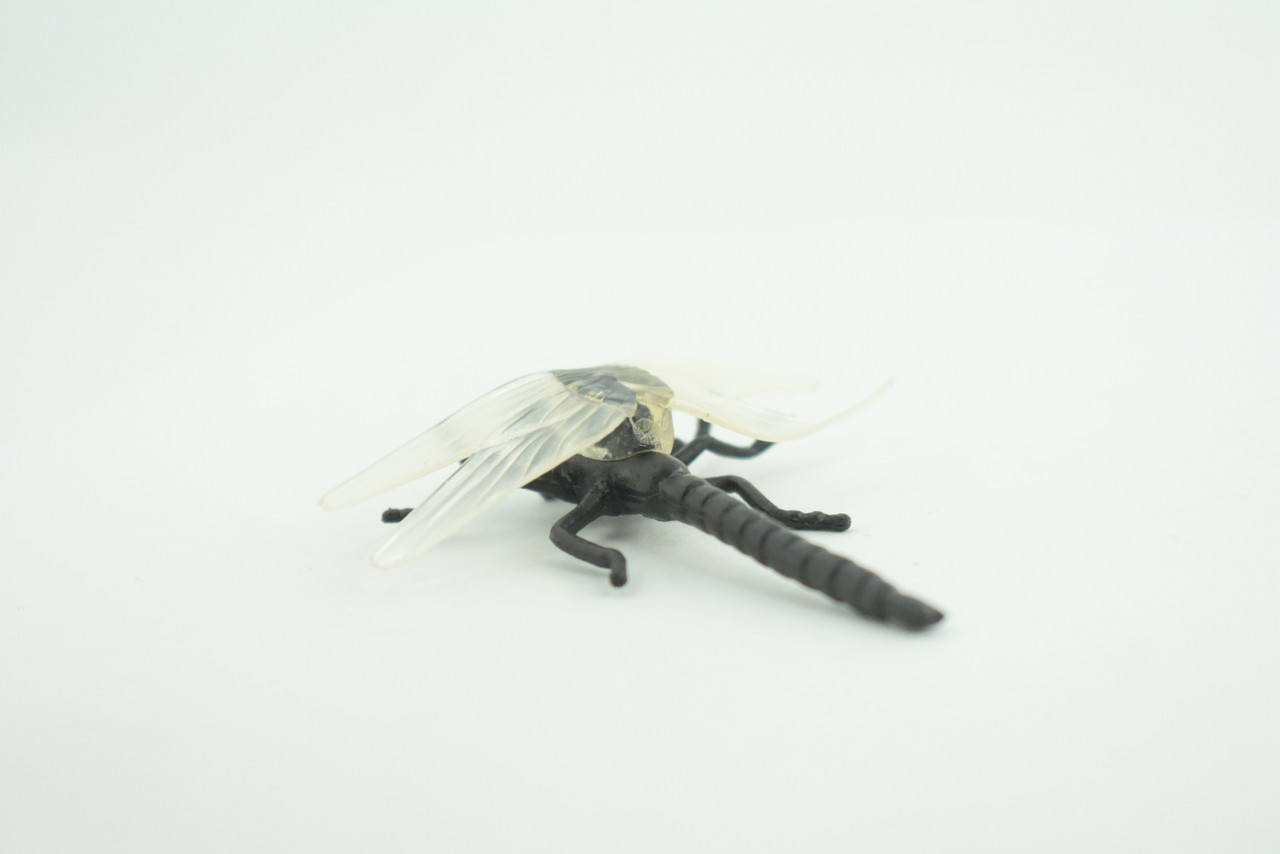 Dragonfly, Black with White Wings, Rubber Insect, High Quality, Hand Painted, Realistic, Diorama Model, Toy, Kids, Educational, Gift,    2 1/2 Inches   CWG219 B74