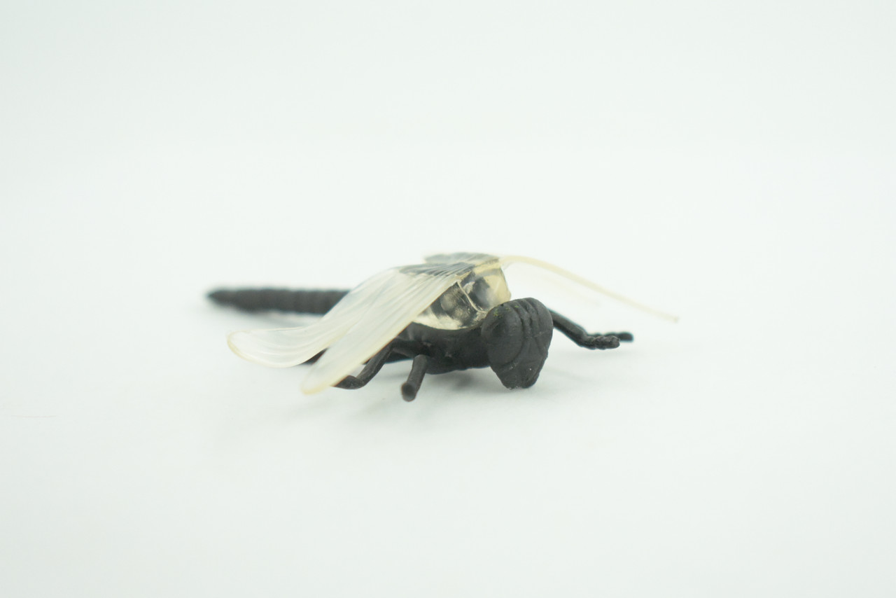 Dragonfly, Black with White Wings, Rubber Insect, High Quality, Hand Painted, Realistic, Diorama Model, Toy, Kids, Educational, Gift,    2 1/2 Inches   CWG219 B74