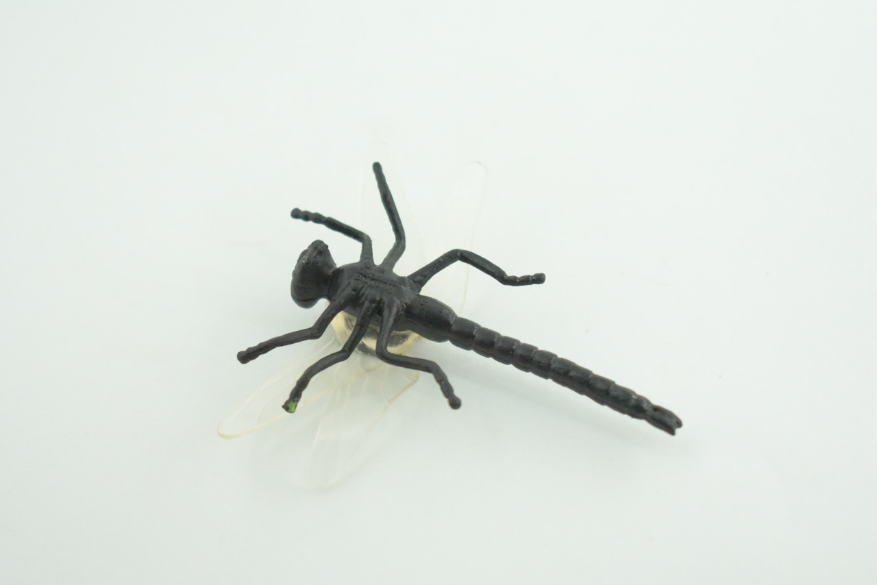 Dragonfly, Black with White Wings, Rubber Insect, High Quality, Hand Painted, Realistic, Diorama Model, Toy, Kids, Educational, Gift,    2 1/2 Inches   CWG219 B74