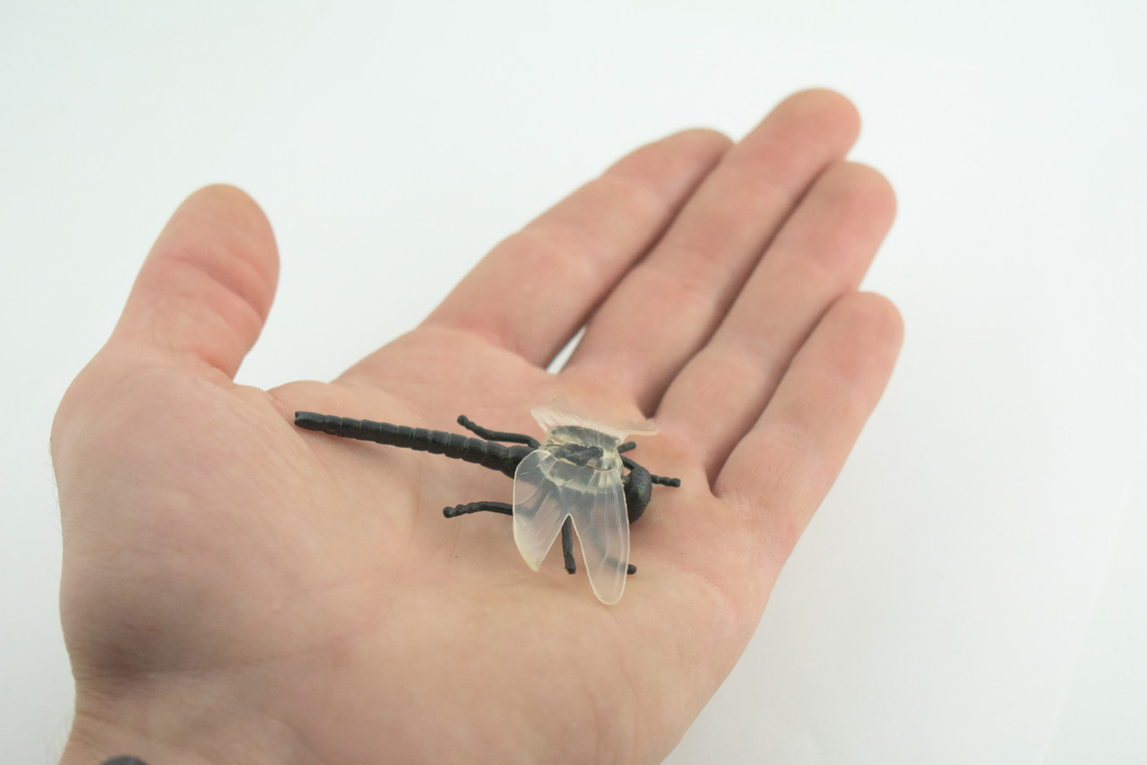 Dragonfly, Black with White Wings, Rubber Insect, High Quality, Hand Painted, Realistic, Diorama Model, Toy, Kids, Educational, Gift, 2 1/2 Inches CWG219 B74