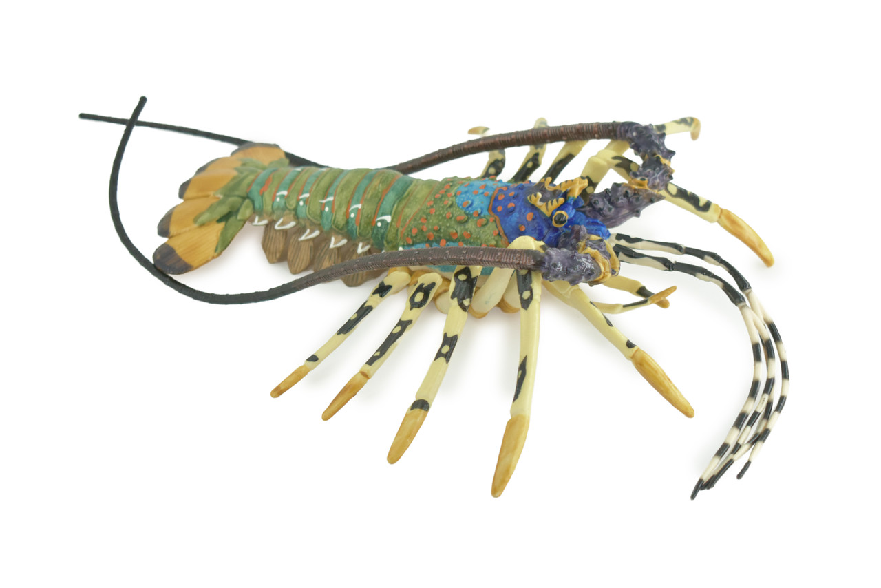 Lobster, Pacific, Australian, Crustaceans, Hand Painted, Museum Quality, Rubber, Realistic, Toy, Kids, Diorama, Model, Educational, Gift, 12 Inches. CH1001 BB219