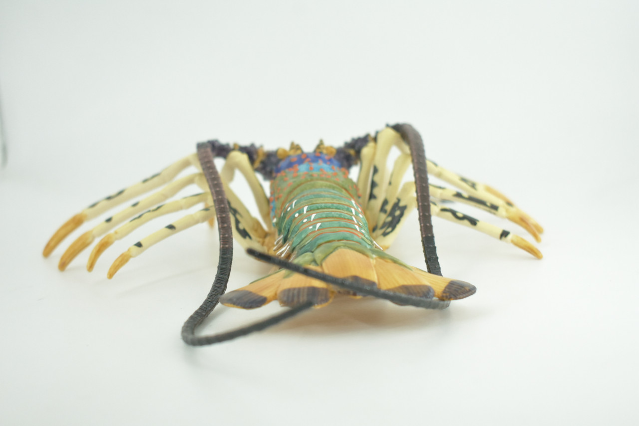 Lobster, Pacific, Australian, Crustaceans, Hand Painted, Museum Quality, Rubber, Realistic, Toy, Kids, Diorama, Model, Educational, Gift,   12 Inches.  CH1001 BB219   