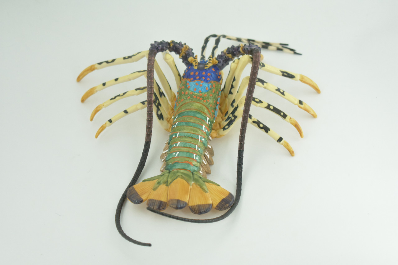 Lobster, Pacific, Australian, Crustaceans, Hand Painted, Museum Quality, Rubber, Realistic, Toy, Kids, Diorama, Model, Educational, Gift,   12 Inches.  CH1001 BB219   