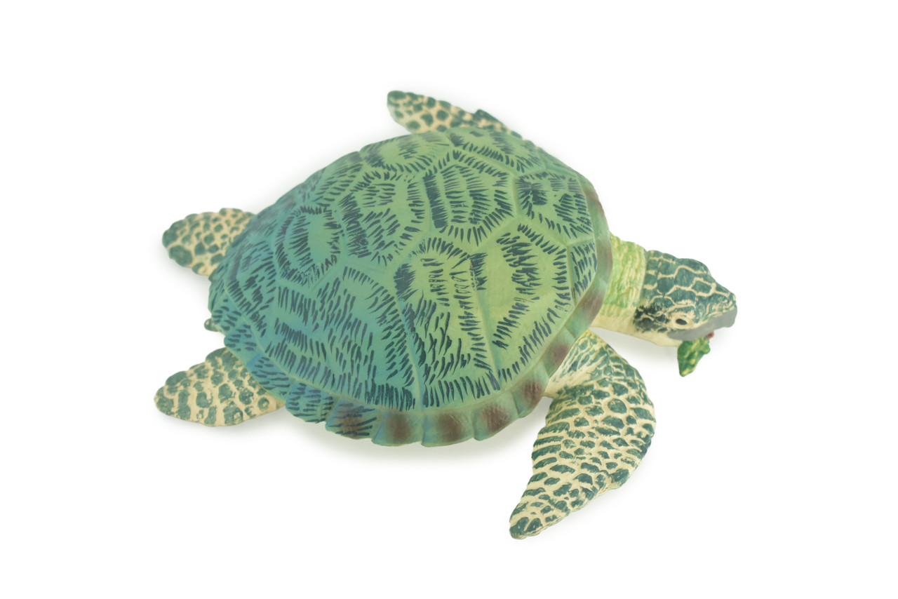 Green Sea Turtle, Museum Quality, Hand Painted, Rubber Reptile, Realistic, Diorama, Model, Replica, Toy, Kids, Educational, Gift, 6 1/2 Inches. CH1006 BB219