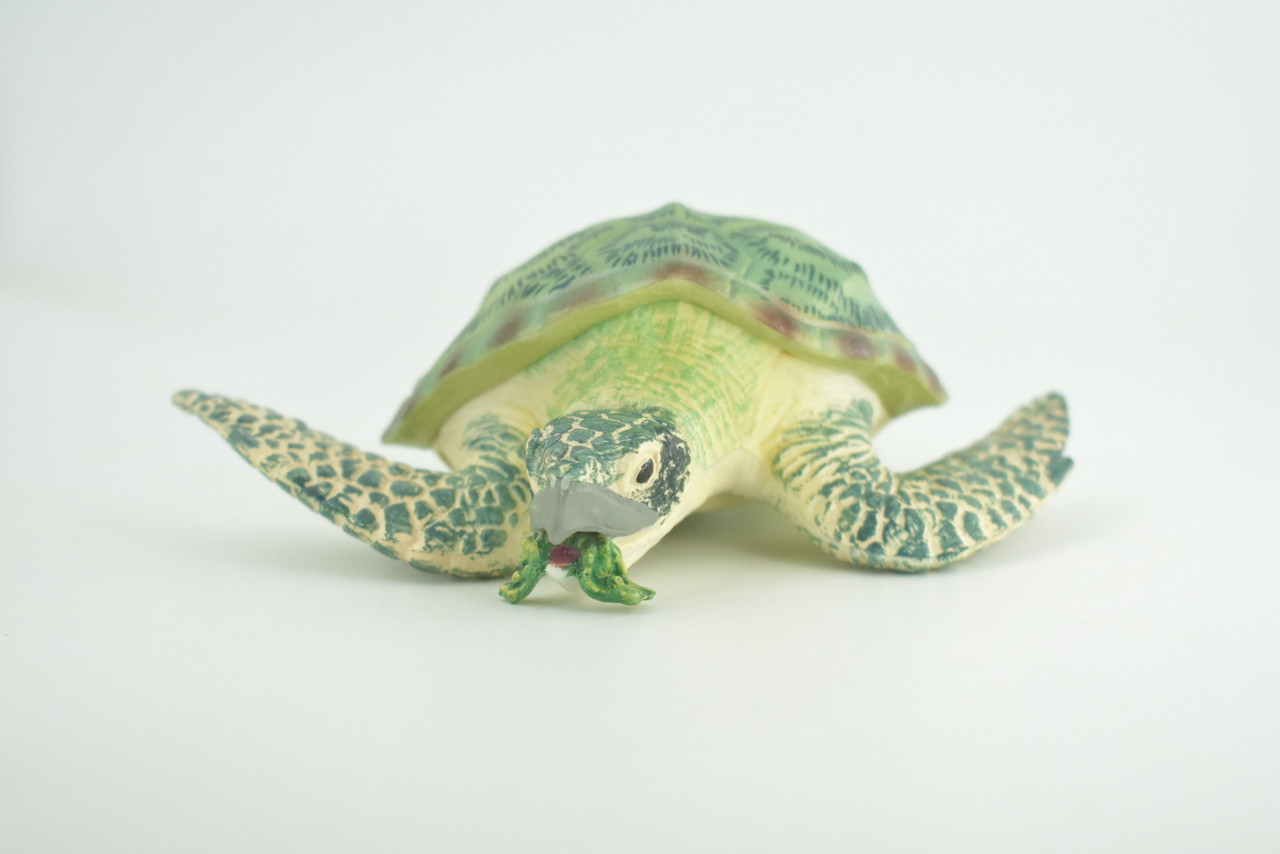 Green Sea Turtle, Museum Quality, Hand Painted, Rubber Reptile, Realistic, Diorama, Model, Replica, Toy, Kids, Educational, Gift,    6 1/2 Inches.   CH1006 BB219