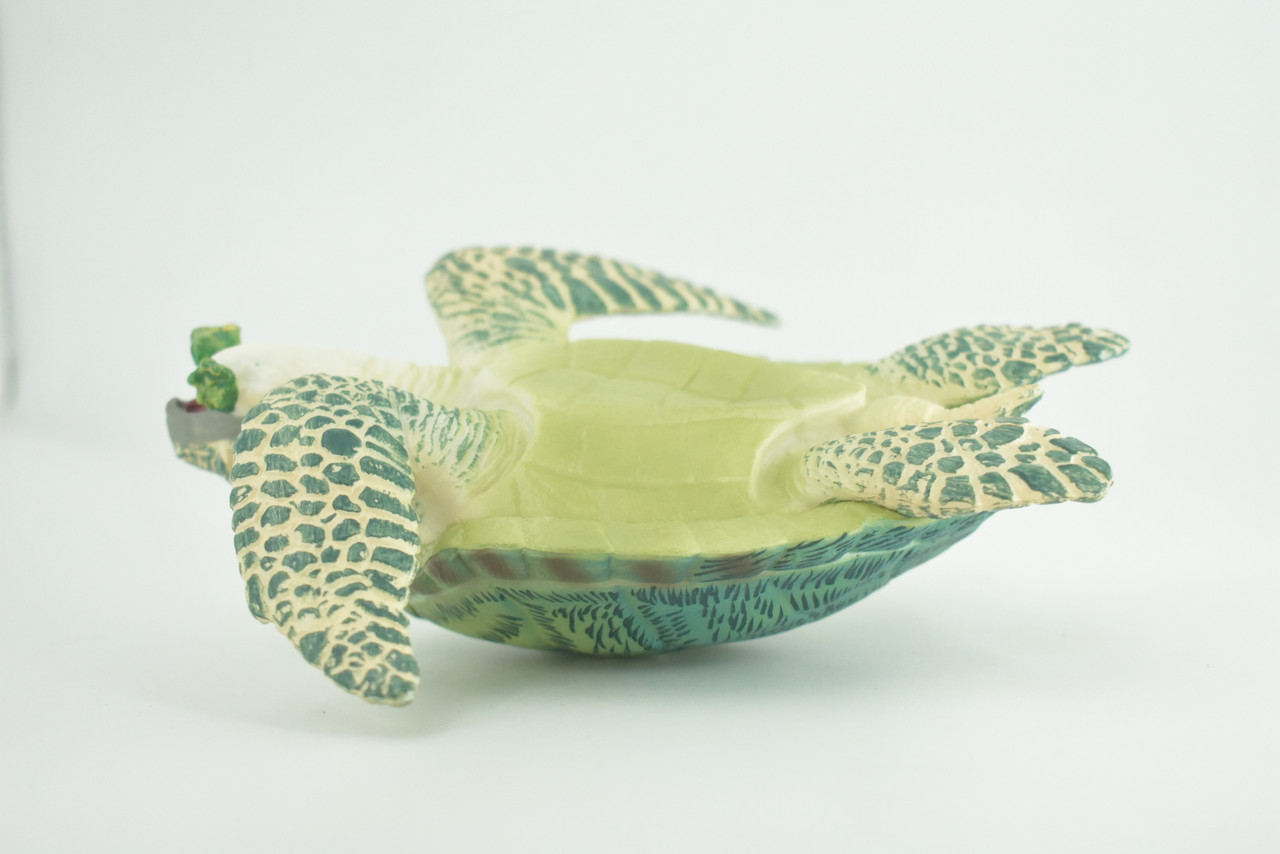 Green Sea Turtle, Museum Quality, Hand Painted, Rubber Reptile, Realistic, Diorama, Model, Replica, Toy, Kids, Educational, Gift,    6 1/2 Inches.   CH1006 BB219