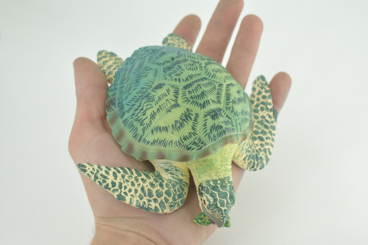 Green Sea Turtle, Museum Quality, Hand Painted, Rubber Reptile, Realistic, Diorama, Model, Replica, Toy, Kids, Educational, Gift, 6 1/2 Inches. CH1006 BB219