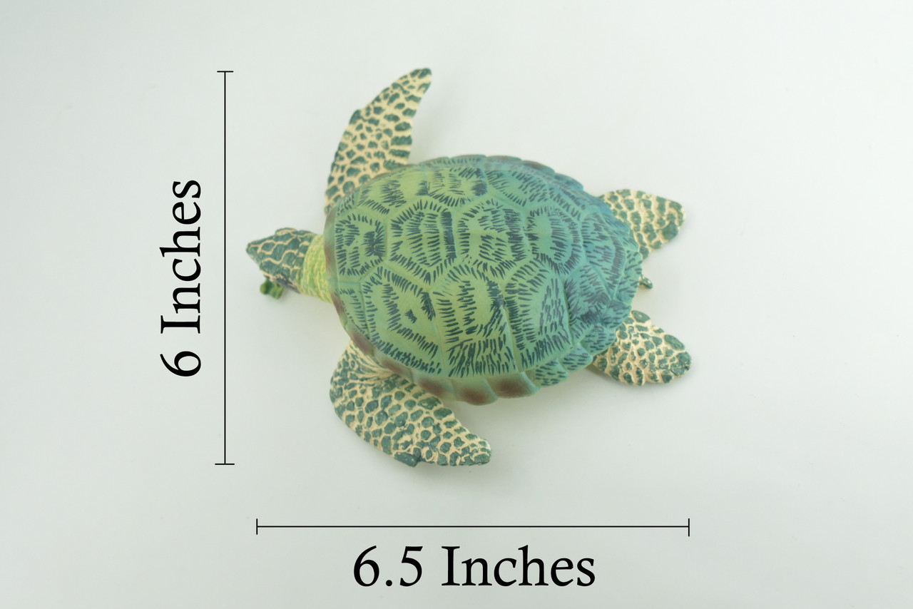 Green Sea Turtle, Museum Quality, Hand Painted, Rubber Reptile, Realistic, Diorama, Model, Replica, Toy, Kids, Educational, Gift, 6 1/2 Inches. CH1006 BB219